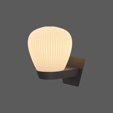 MUURPLAAT ZWART VOOR WANDLAMP PLISSEE W