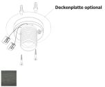 AFDEKPLAAT 100MM HOLTKOETTER PLISSEE D PLATINA